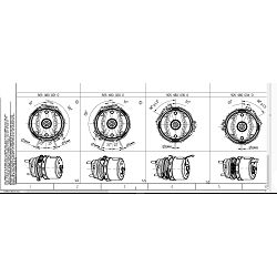 TRISTOP CILINDAR (DISC) 20/24 - WABCO 57mm