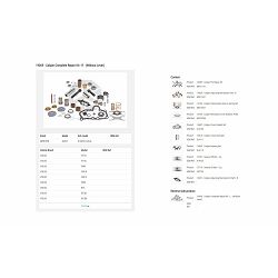 SET KOČIONE ČELJUSTI MERITOR KOMPLET D DUCO AXIAL - DESNI