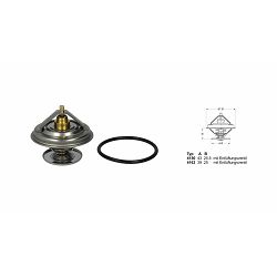 TERMOSTAT 79.0°C, MAN (D0824/26,D2555/56/65/66,D2840)