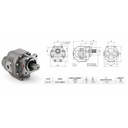 BI-DIRECTIONAL PUMPA 88,8cm3, 1”1/4G - INTERPUMP