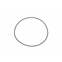 O-RING HIDRODINAMIČKOG RETARDERA, MERCEDES VOITH