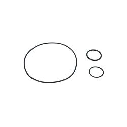 SET O-RING RENAULT