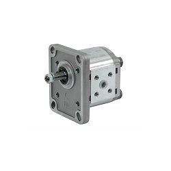 PUMPA PLP10.6,3 D0-81E1-LBB/BA-N CASAPPA 