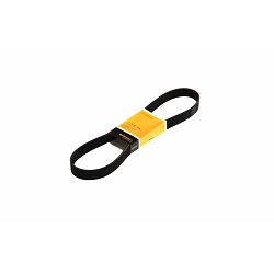REMEN RENAULT DXI7 - 8PK1175