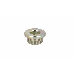 VIJAK MOTORA RVI MIDLUM, M24x1,5