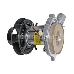 MOTOR EBERSPACHER D2 24V - OE